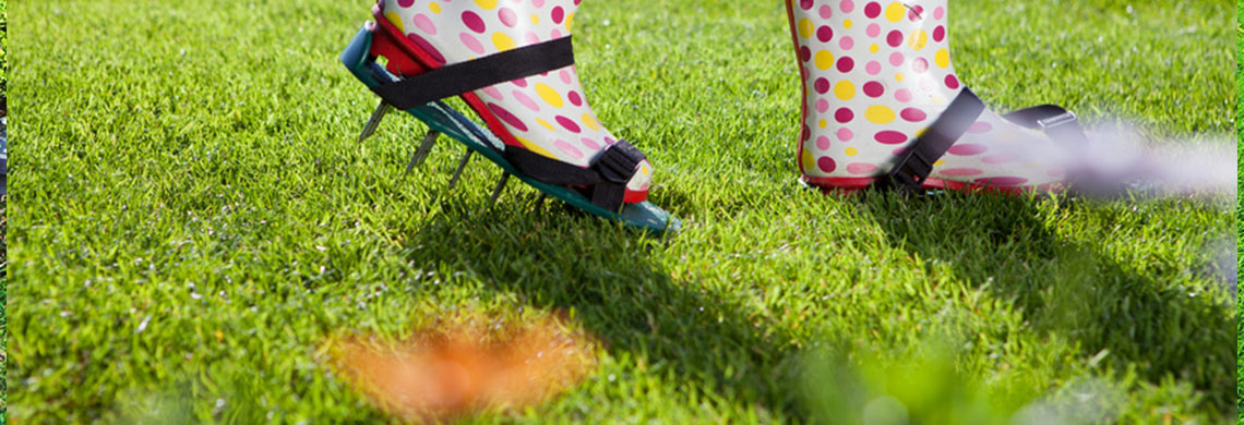 Aeracja i wertykulacja