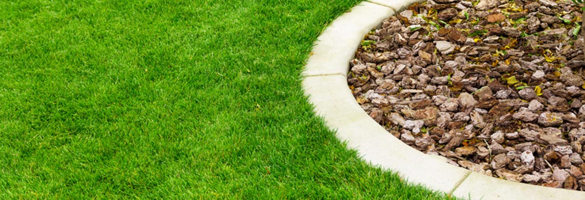 Jak uporać się ze szkodnikami na trawniku?