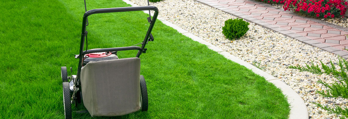 Jak zaplanować trawnik