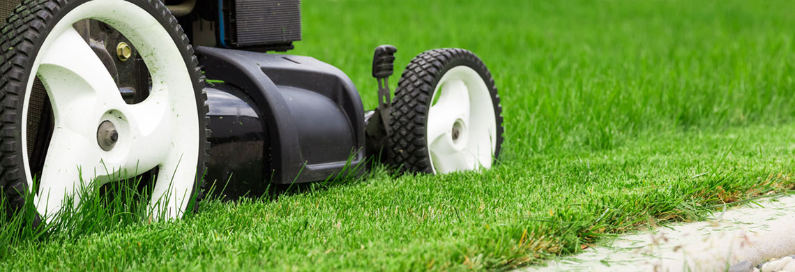 Koszenie trawnika - kiedy, jak i czym?