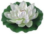 LILIA WODNA duża biała Ø 28 cm