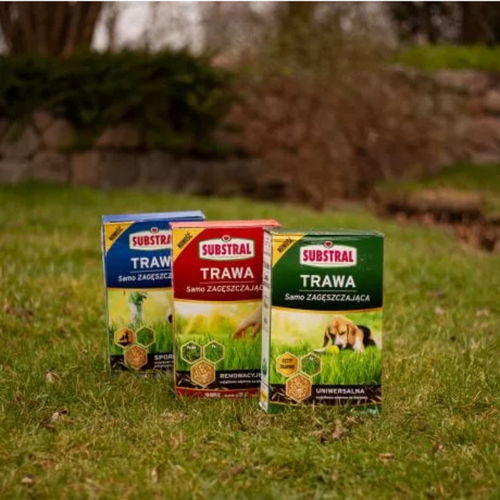 Substral SAMO Zagęszczająca Trawa Renowacyjna 1 kg