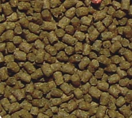 Gran sturio 1 L  -  pokarm tonący dla jesiotrów