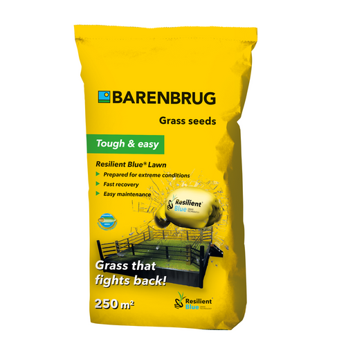Barenbrug na Ekstremalne Warunki RESILIENT BLUE LAWN Tough & easy 5kg