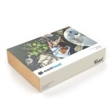 Cellfast Mały Zestaw Narzędzi PASTEL (Błękitny) 40-053