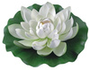 LILIA WODNA duża biała Ø 28 cm