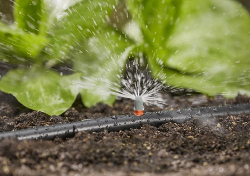 Gardena Micro-Drip System Dysza Zraszająca 360° 5szt 1365-29