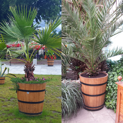 Drewdon Donica Dębowa Palmówka z Uchwytami 27x30 Rustikal Palisander