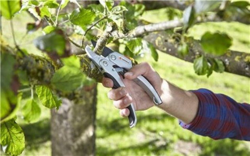 Gardena Comfort Sekator Ogrodowy SmartCut 8798-20