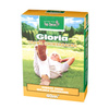 Top Decor Mieszanka Traw Uniwersalnych GLORIA 1kg