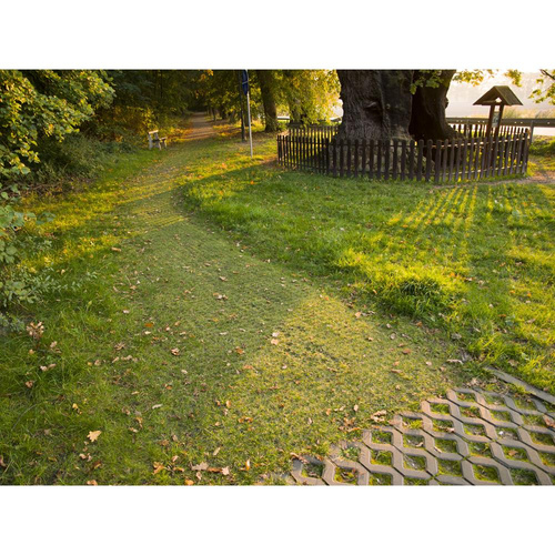 Eko Kratka Trawnikowa Czarna 50x50x5cm