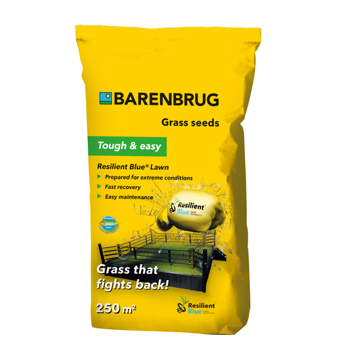 Barenbrug na Ekstremalne Warunki RESILIENT BLUE LAWN Tough & easy 5kg