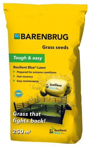 Barenbrug na Ekstremalne Warunki RESILIENT BLUE LAWN Tough & easy 5kg