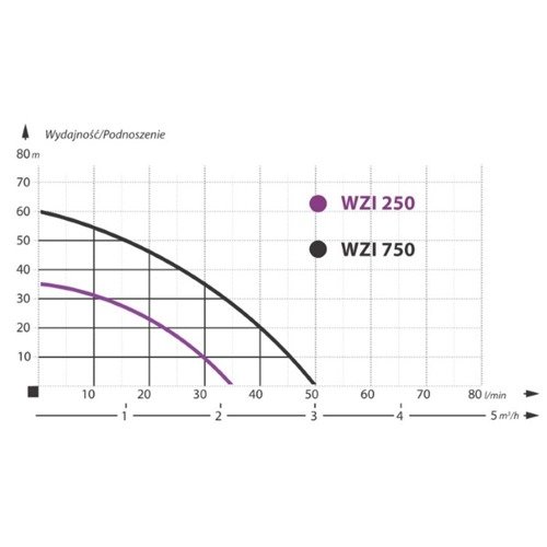 IBO Pompa Hydroforowa WZI 250 Z Osprzętem + Zbiornik Ciśnieniowy 100 l Polski